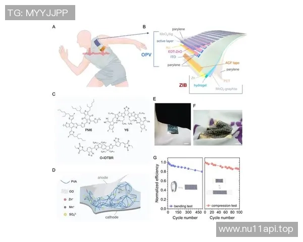 穿戴设备普及带来实时生理数据助力战术分析新模式